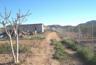 Sale - Finca - Hondon de los Frailes