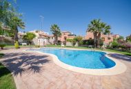 Sale -  - San Miguel de Salinas - San Miguel