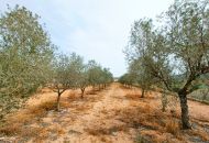 Sale - Villa - Hondon de los Frailes