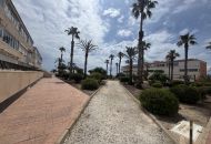 Sale - Apartments - Mil Palmerales - Mil Palmeras