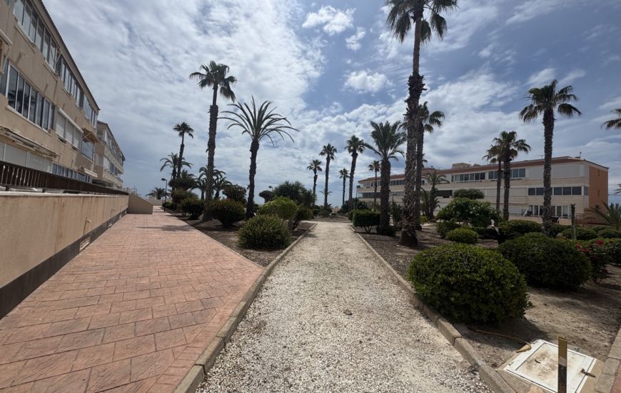 Sale - Apartments - Mil Palmerales - Mil Palmeras