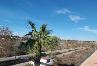 Sale - Apartments - Pilar de la Horadada