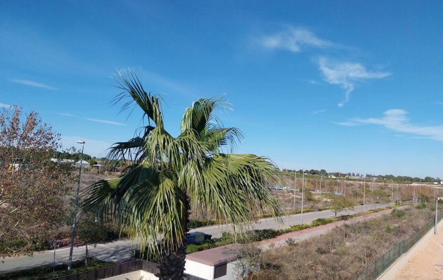 Sale - Apartments - Pilar de la Horadada