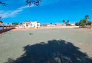 Sale - Finca - Catral