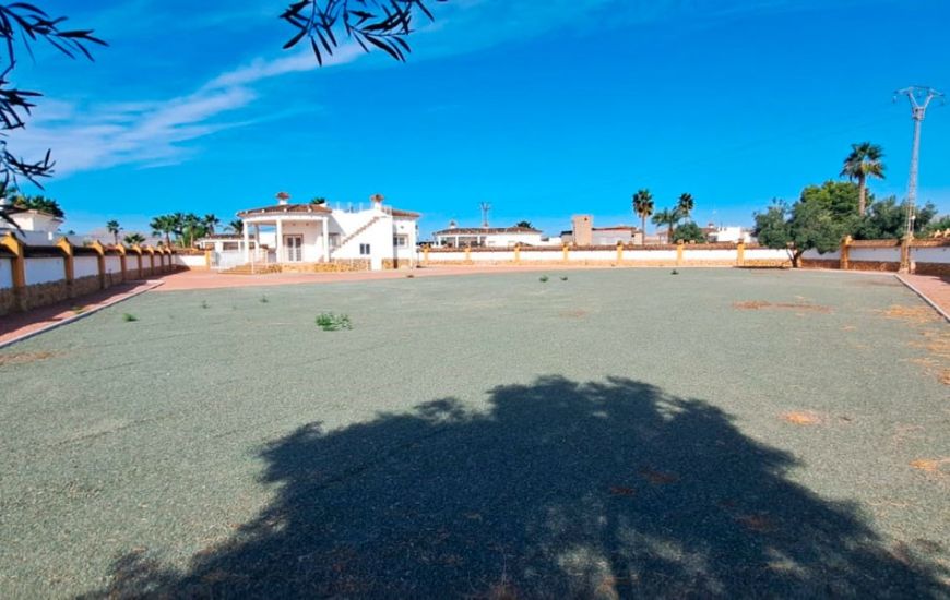 Sale - Finca - Catral