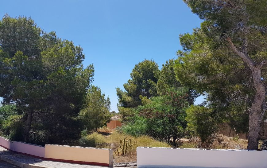 Venta - Terreno - Algorfa