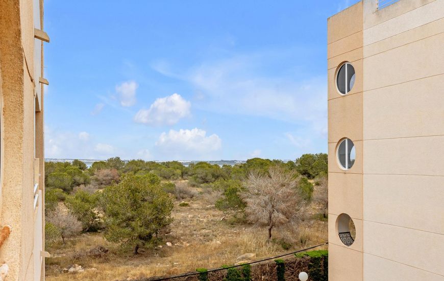 Venta - Apartamentos - Torrevieja
