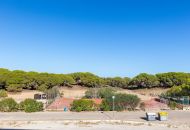 Sale - Apartments - Guardamar del Segura