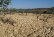 Sale - Land - Murcia