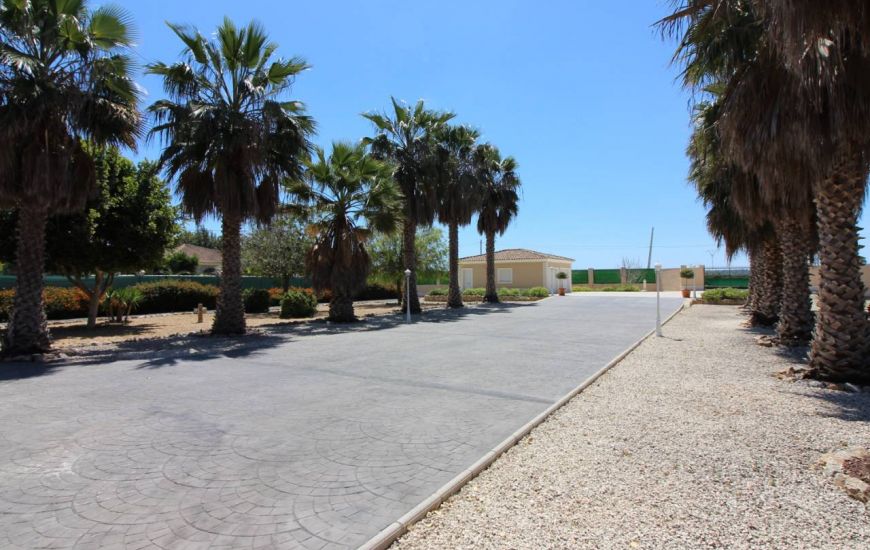 Sale - Villa - Daya Nueva