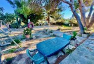 Sale - Country Property - Guardamar del Segura