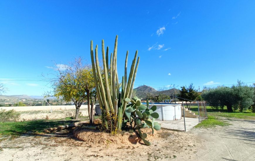 Venta - Casa Rural - Hondon de los Frailes