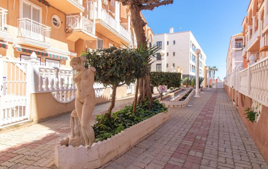 Sale - Apartments - La Mata