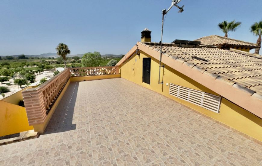 Sale - Finca - Orihuela