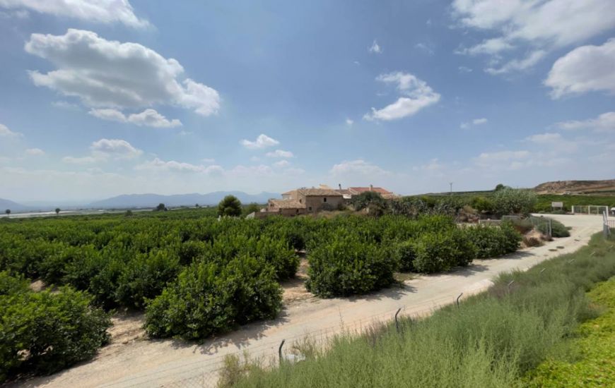 Venta - Casa Rural - Orihuela