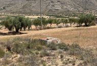 Sale - Land - Hondon de los Frailes