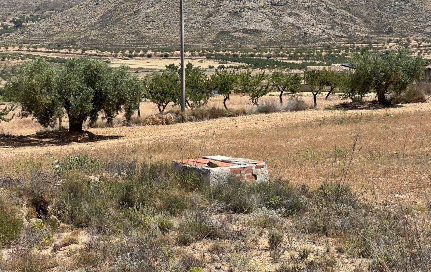 Sale - Land - Hondon de los Frailes