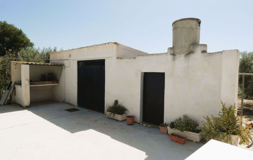 Sale - Finca - Dolores
