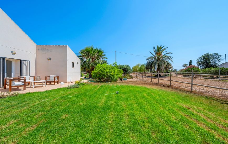 Venta - Country estate - Elche/Elx