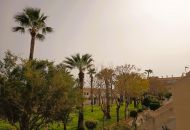 Sale - Apartments - Orihuela Costa