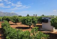 Sale - Villa - Beniarbeig