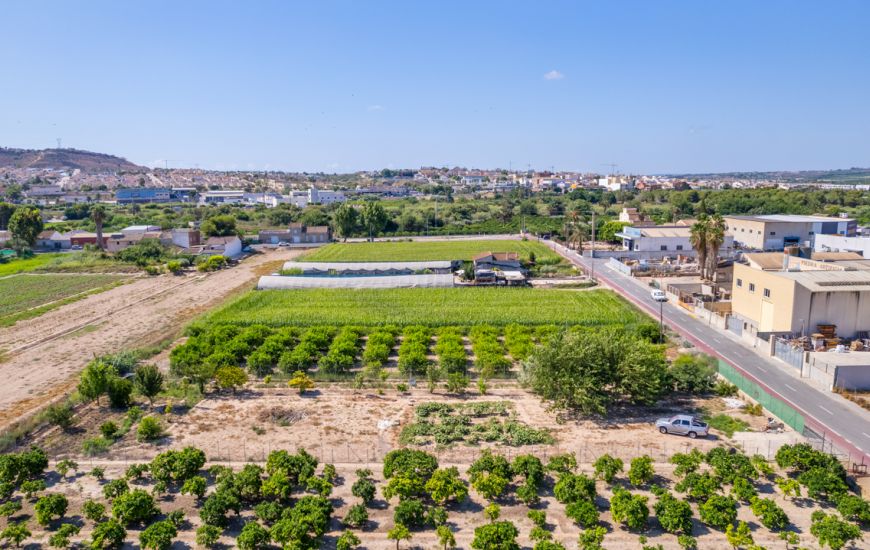 Sale - Land - Formentera Del Segura - Formentera de Segura