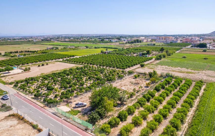 Sale - Land - Formentera Del Segura - Formentera de Segura