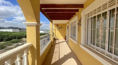 Apartments - Sale - Algorfa - Algorfa