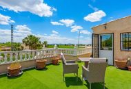 Sale - Finca - Catral