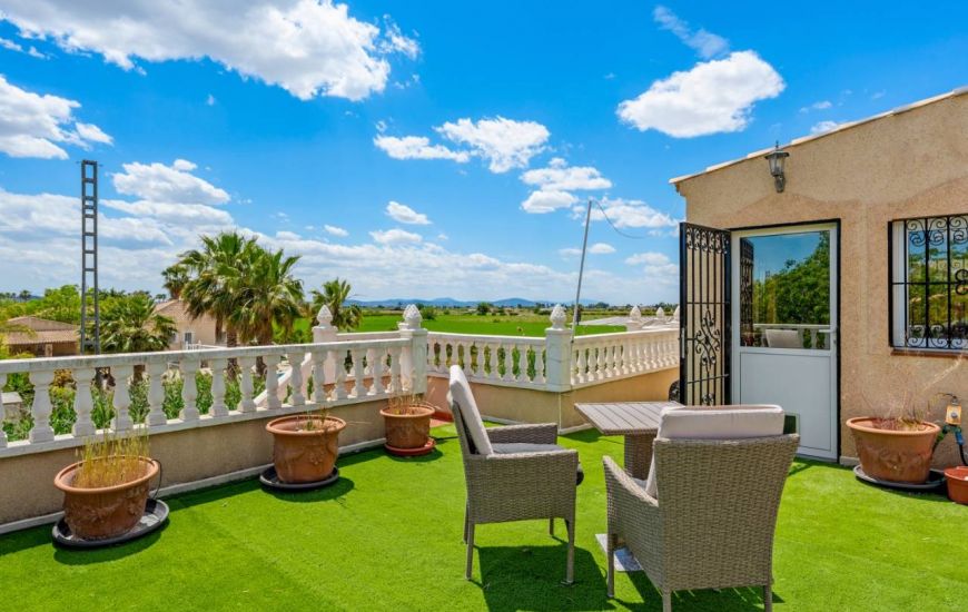 Sale - Finca - Catral