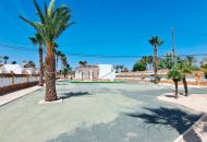 Sale - Finca - Catral