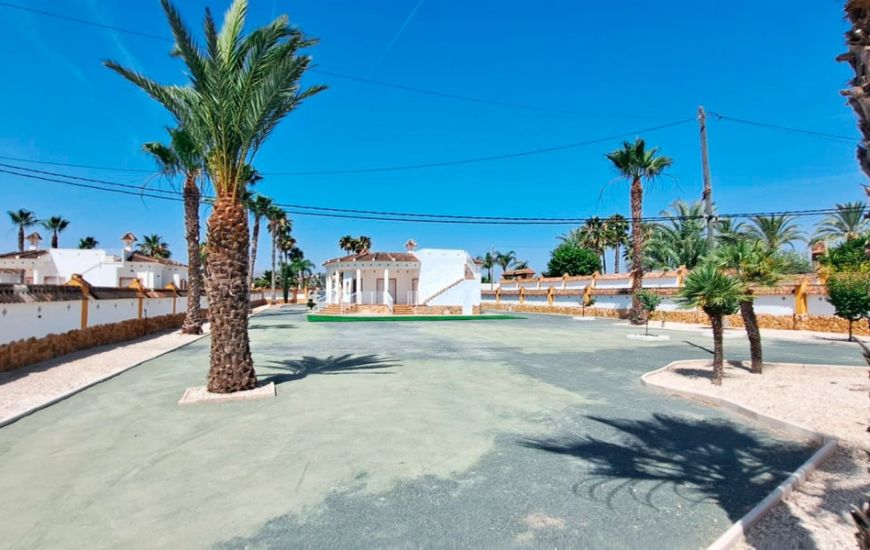 Sale - Finca - Catral