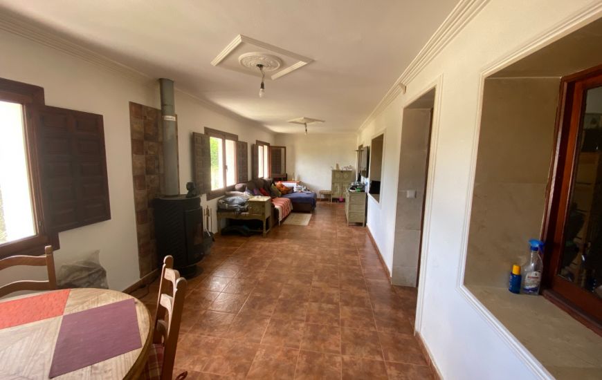 Sale - Finca - Sax