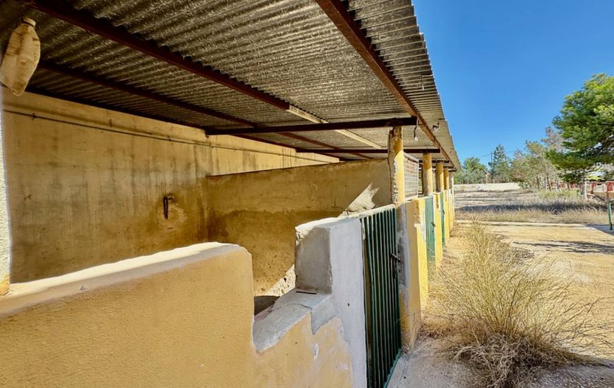 Sale -  - Los Montesinos - 