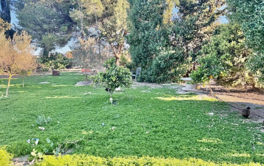 Sale - Country Property - Guardamar del Segura