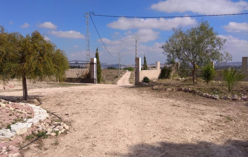 Venta - Casa Rural - Novelda