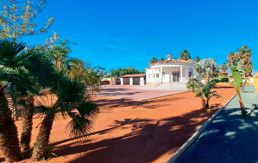 Venta - Casa Rural - Catral