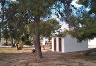 Sale - Finca - Aspe