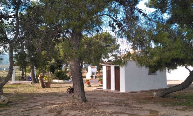 Sale - Finca - Aspe