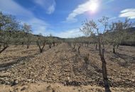 Venta - Terreno - Hondón de las Nieves