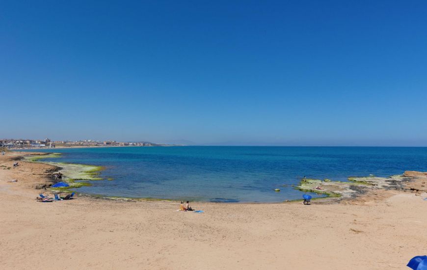 Venta - Apartamentos - Torrevieja