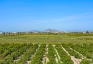 Sale - 1. Apartment / flat - Daya Nueva