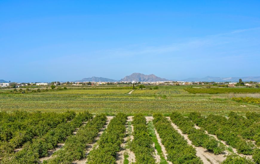 Sale - 1. Apartment / flat - Daya Nueva