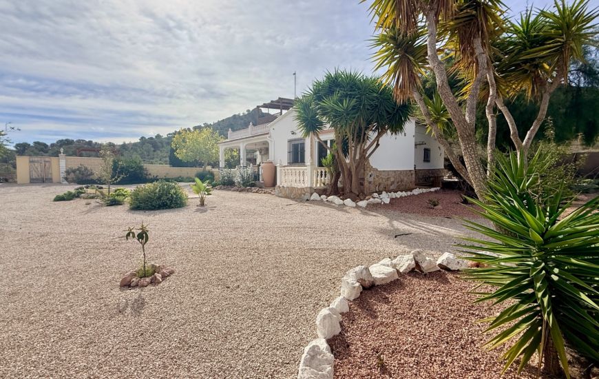 Sale - Finca - Hondon de los Frailes