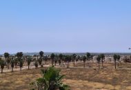 Venta - Adosado - Ciudad Quesada