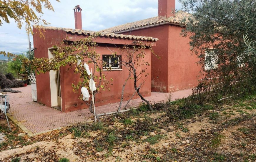 Sale - Villa - 