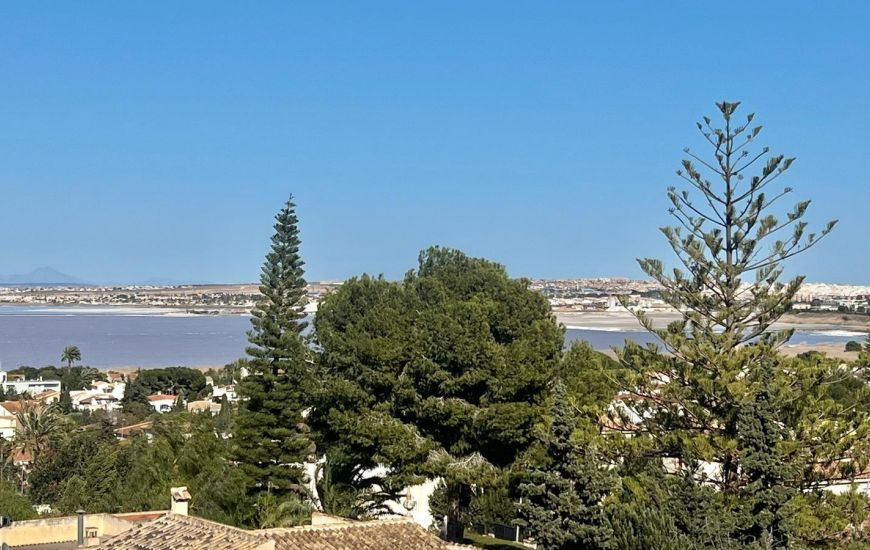 New Build - Villa - Torrevieja - 