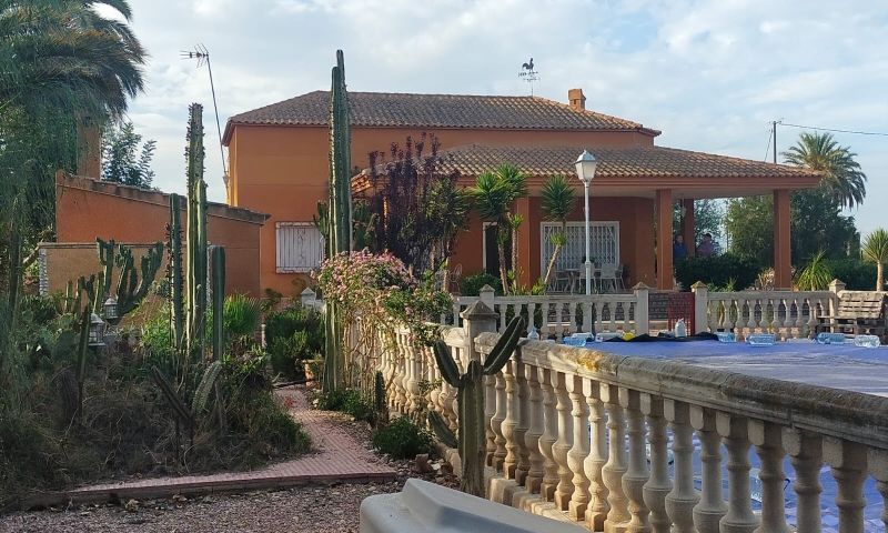 Sale - Finca - Elche