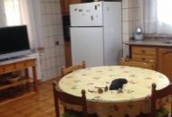 Sale - Finca - Sax