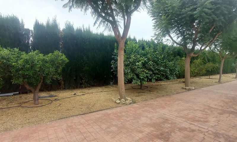 Sale - Villa - Hondón de las Nieves